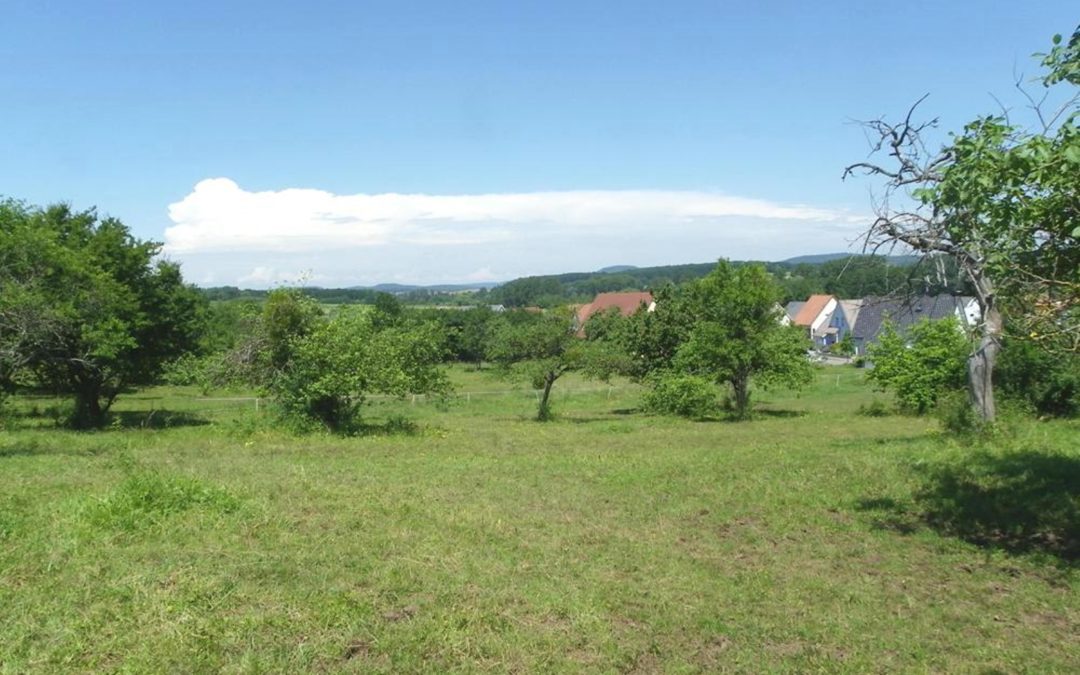 OBERMODERN-ZUTZENDORF