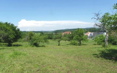 OBERMODERN-ZUTZENDORF