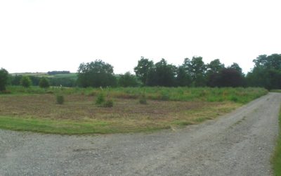 WINGERSHEIM-LES-QUATRES-BANS
